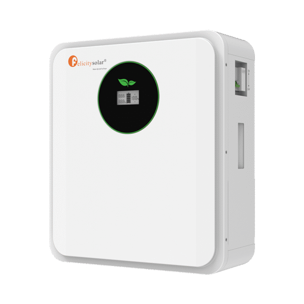 FELICITY LifePO4 Battery Pack FLA24100 | 2.56Kwh-25.6V-100Ah