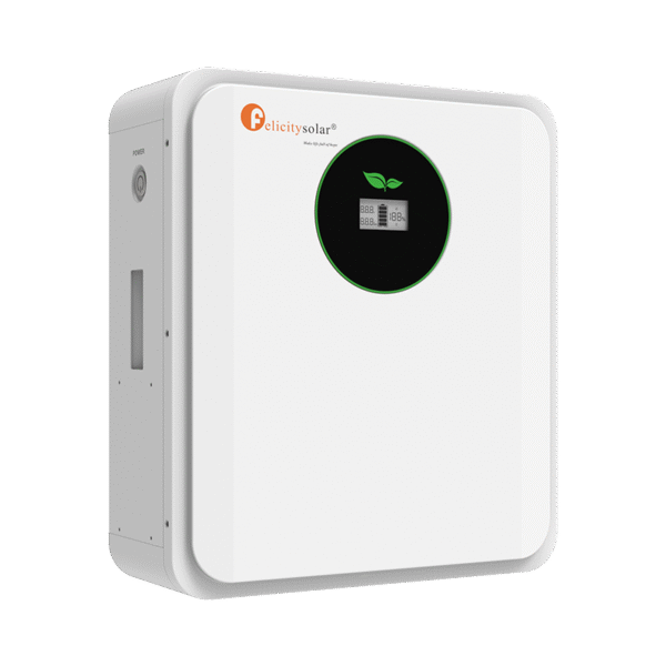 FELICITY LifePO4 Battery Pack FLA24100 | 2.56Kwh-25.6V-100Ah