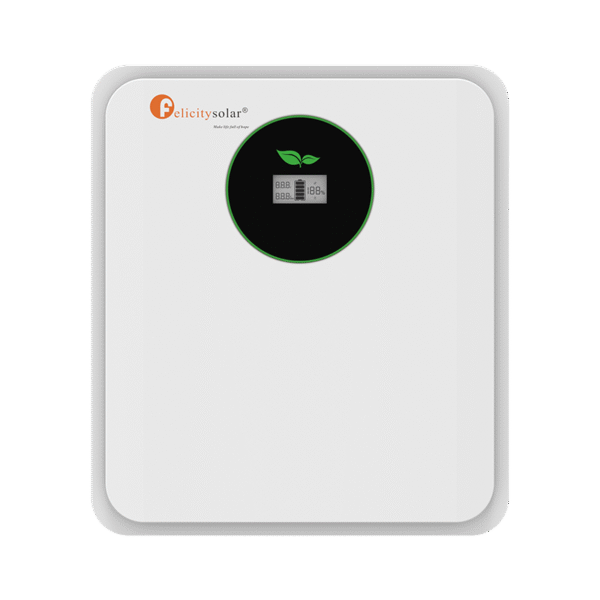 FELICITY LifePO4 Battery Pack FLA24100 | 2.56Kwh-25.6V-100Ah